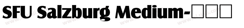 SFU Salzburg Medium字体转换
